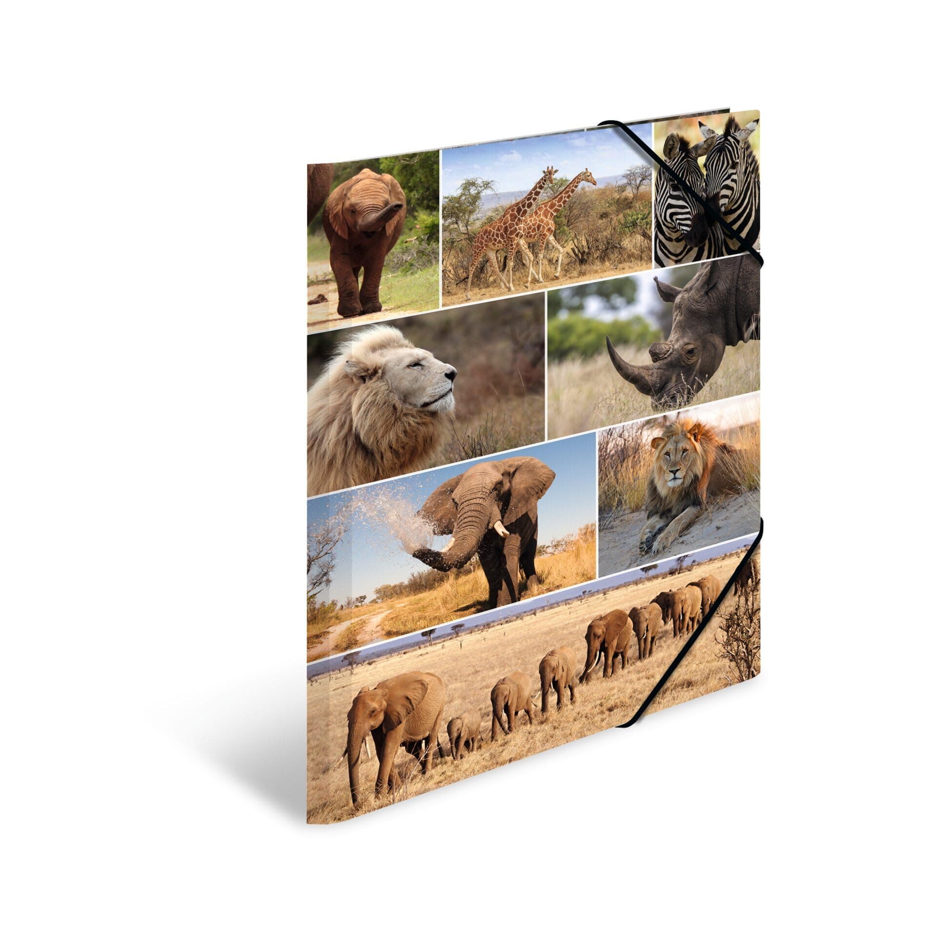 HERMA Sammelmappen A3 Löwe Set, 3 Stück, Kinder Eckspanner-Mappen aus Pappe mit Afrika Tier Motiv, Gummizug, Innenklappen und Innendruck für Jungen und Mädchen